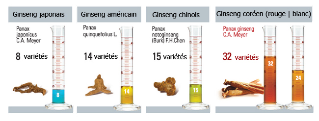 efficacité du panax japonicus VS panax quinquefolius VS panax notoginseng VS panax ginseng