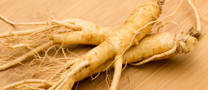 racine de ginseng